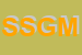 Logo di SGM SOCIETA' GESTIONE MULTIPLA SPA