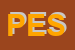Logo di PARAVIA ELEVATORS-SERVICE SPA