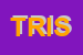 Logo di TELE RADIO IMMAGINE SRL