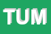 Logo di TUMMINELLI SRL