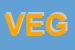 Logo di VEGA (SRL)