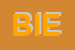 Logo di BIELL-INSEGNE