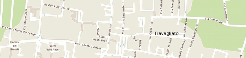 Mappa della impresa carini zelmira a TRAVAGLIATO