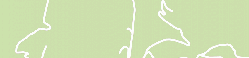 Mappa della impresa albergo concaverde srl a ZONE