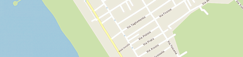 Mappa della impresa tognetti alessandro a PIETRASANTA