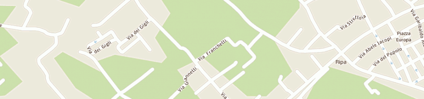Mappa della impresa centro legno srl a SERAVEZZA