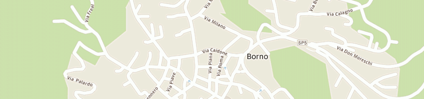 Mappa della impresa rivadossi silvio a BORNO