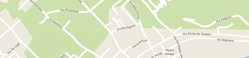 Mappa della impresa ricci mauro a SERAVEZZA