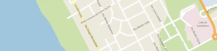 Mappa della impresa finelgi spa a CAMAIORE