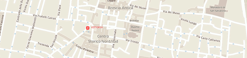 Mappa della impresa bassini e c di bassini silvana sas a BRESCIA