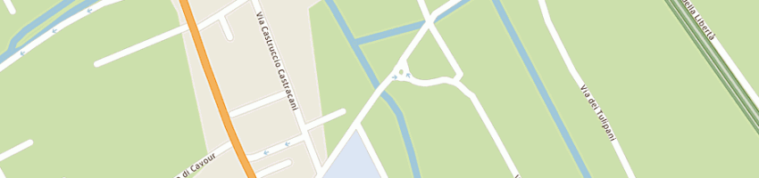 Mappa della impresa pardini siro a CAMAIORE