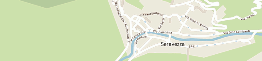 Mappa della impresa toro snc di tognocchi eleonora e rossi fabio a SERAVEZZA