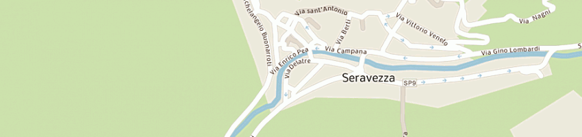 Mappa della impresa neri camillo a SERAVEZZA
