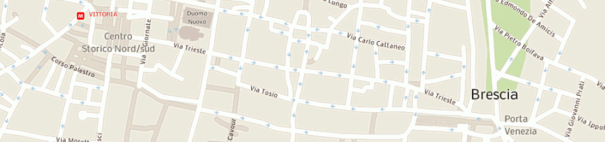 Mappa della impresa protagonist srl a BRESCIA