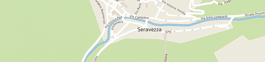 Mappa della impresa leoni silvia a SERAVEZZA