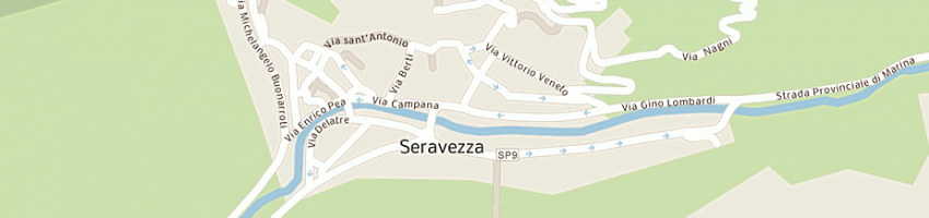 Mappa della impresa decar di tongiani roberto a SERAVEZZA