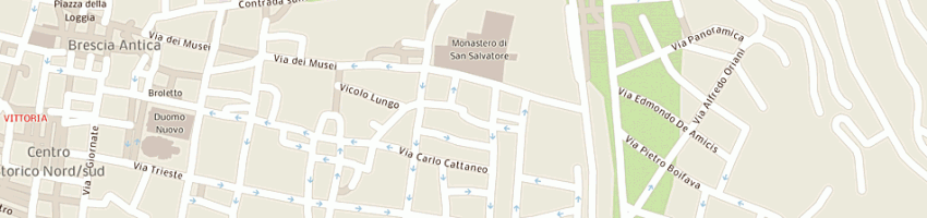 Mappa della impresa mic sas di marchioni laura a BRESCIA