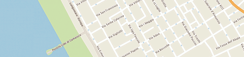 Mappa della impresa ascom lucca - servizi srl a CAMAIORE