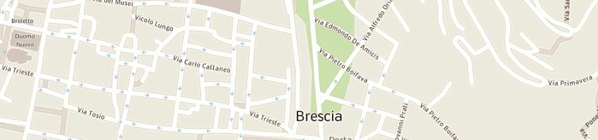 Mappa della impresa bassini giuseppe a BRESCIA