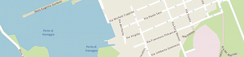 Mappa della impresa riani paolo a VIAREGGIO