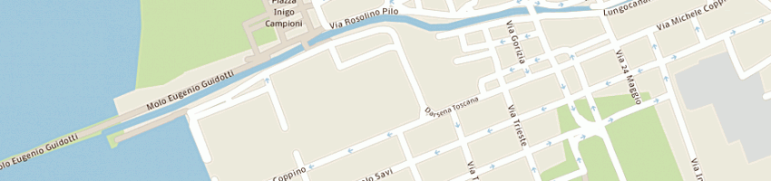 Mappa della impresa cantiere navale del carlo francesco srl a VIAREGGIO