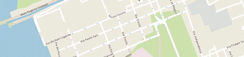 Mappa della impresa polloni srl a VIAREGGIO