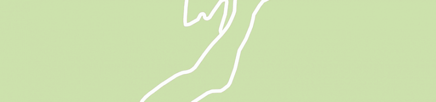 Mappa della impresa mei daniela a STAZZEMA