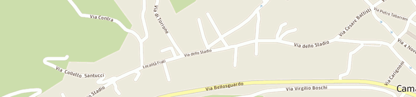 Mappa della impresa parrocchia di s lazzaro a CAMAIORE