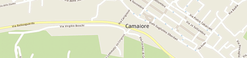 Mappa della impresa metaltenda di pescaglini g e c snc a CAMAIORE