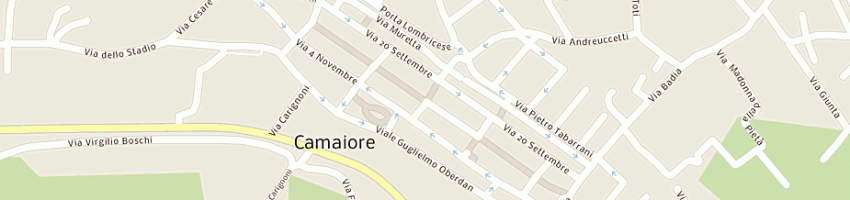 Mappa della impresa d'agliano alessandro a CAMAIORE