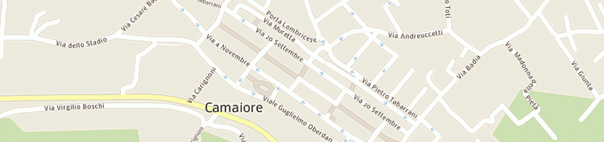 Mappa della impresa giaroli ilde a CAMAIORE