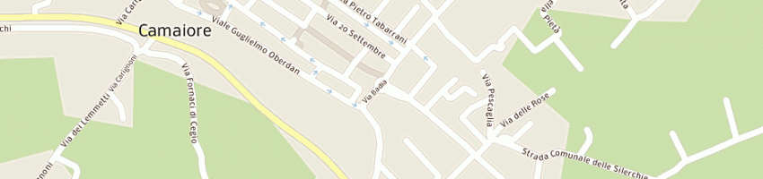 Mappa della impresa dalle luche giuseppe a CAMAIORE