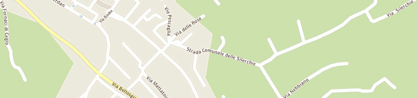 Mappa della impresa vallini fabio a CAMAIORE