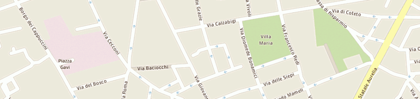 Mappa della impresa piccole chicche srl a LIVORNO