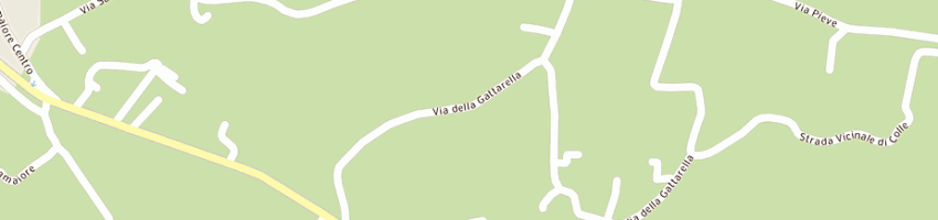 Mappa della impresa flli franciosi di franciosi luigi e stefano snc a CAMAIORE