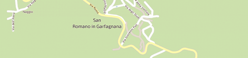 Mappa della impresa professional system (sas) a SAN ROMANO IN GARFAGNANA