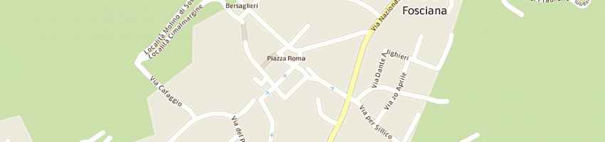 Mappa della impresa annaflor di pighini e c - sas a PIEVE FOSCIANA