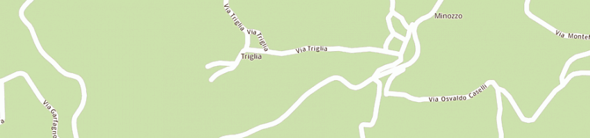 Mappa della impresa parenti costruzioni (snc) a VILLA MINOZZO
