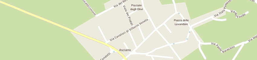 Mappa della impresa grassini gianfranco a ASCIANO