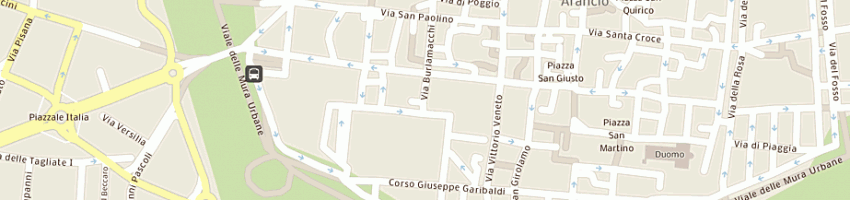 Mappa della impresa figi di bertani g e c sas a LUCCA
