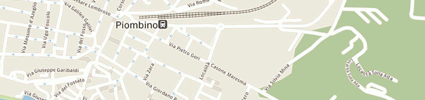 Mappa della impresa biagini riccardo a PIOMBINO