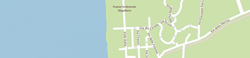 Mappa della impresa flli callaioli di callaioli sandro e stefano snc a CASTAGNETO CARDUCCI