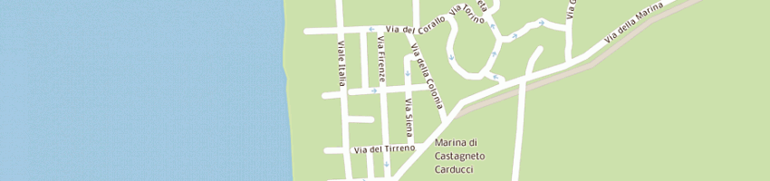 Mappa della impresa macelleria ori a CASTAGNETO CARDUCCI