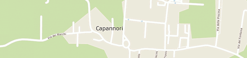 Mappa della impresa grine mostafa a CAPANNORI