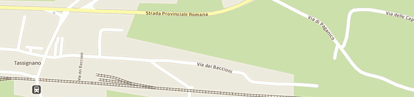 Mappa della impresa bormida marcello a CAPANNORI