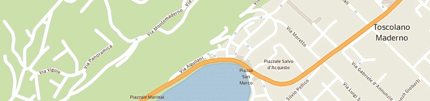 Mappa della impresa tana srl a TOSCOLANO MADERNO