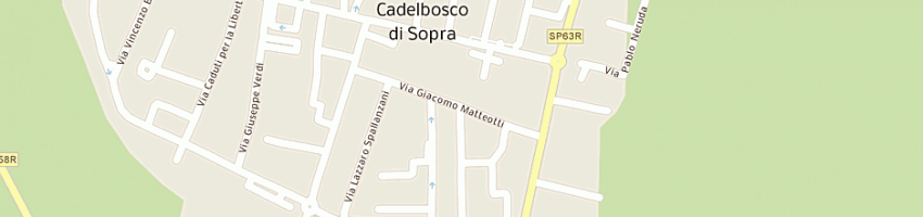Mappa della impresa salsi giuseppe a CADELBOSCO DI SOPRA