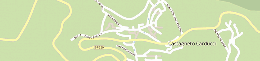 Mappa della impresa raimo mr e togni r snc a CASTAGNETO CARDUCCI