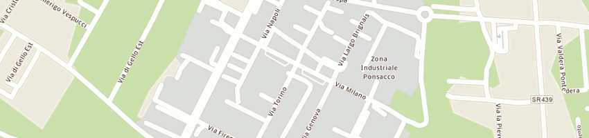 Mappa della impresa femam sdf dei flli magni a PONSACCO