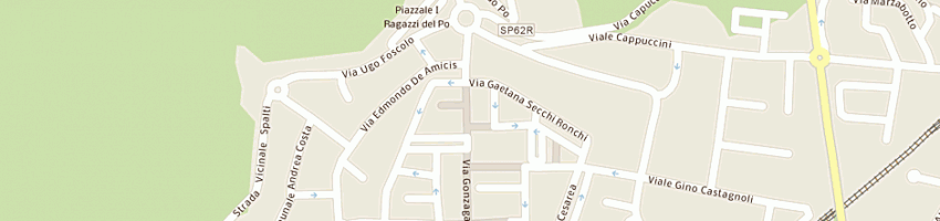 Mappa della impresa bonvicini fiori di flli bonvicini (snc) a GUASTALLA